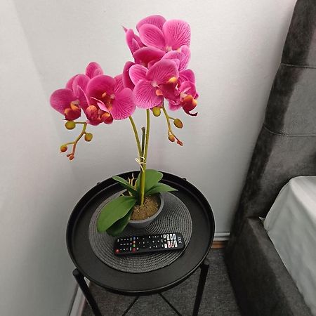 Chic Boutique Dumbrava Lägenhet Sibiu Exteriör bild